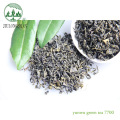 High Mountain china vietnam green matcha tea flecha quality yunwu green tea